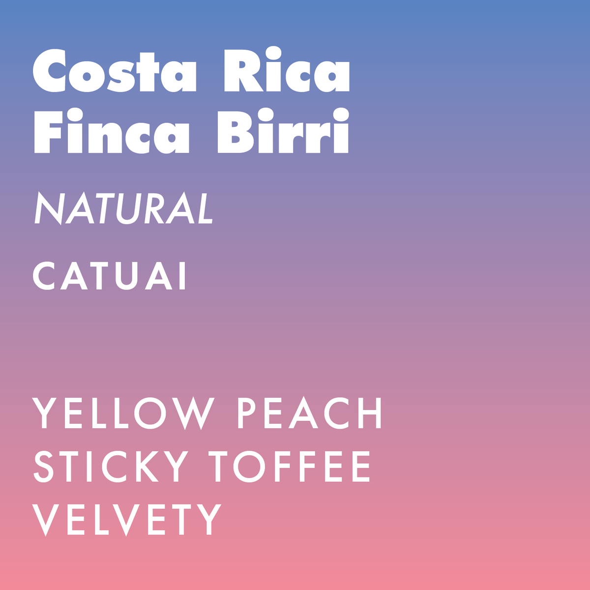 Costa Rica Finca Birri