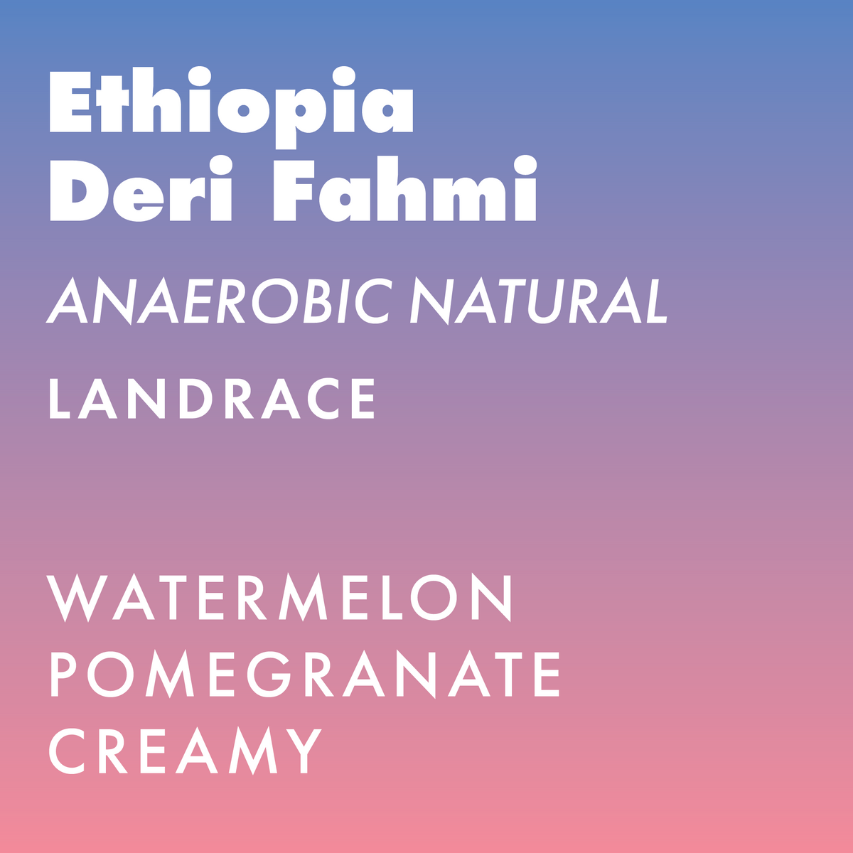 Ethiopia Deri Fahmi