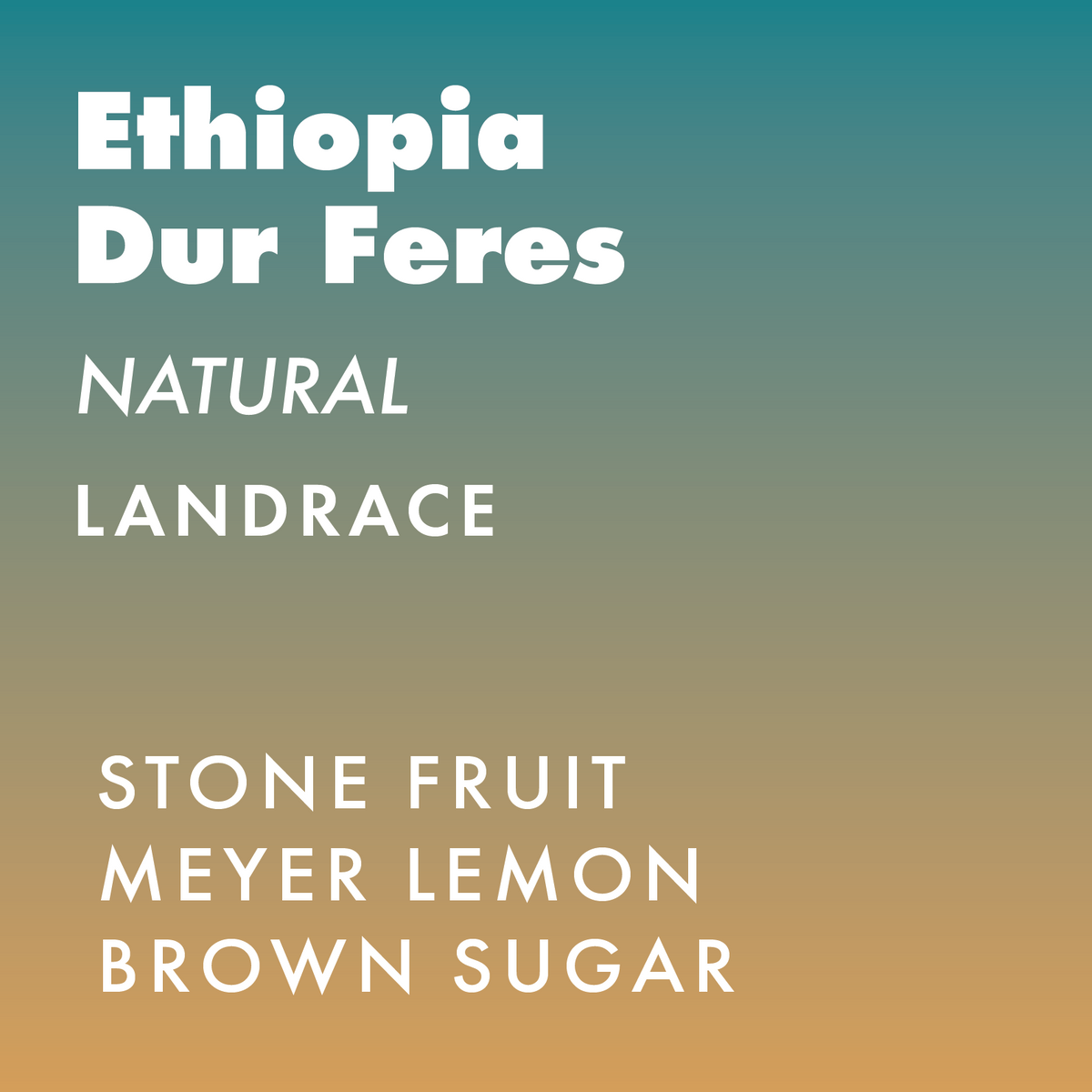 Ethiopia Dur Feres