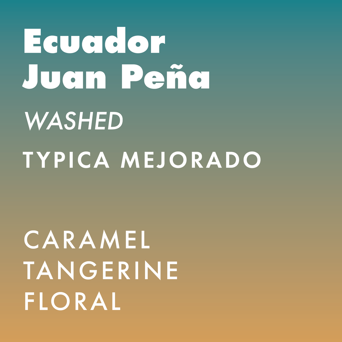 Ecuador Hacienda La Papaya - Washed Typica