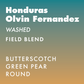 Honduras Olvin Fernandez