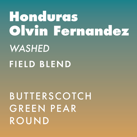 Honduras Olvin Fernandez